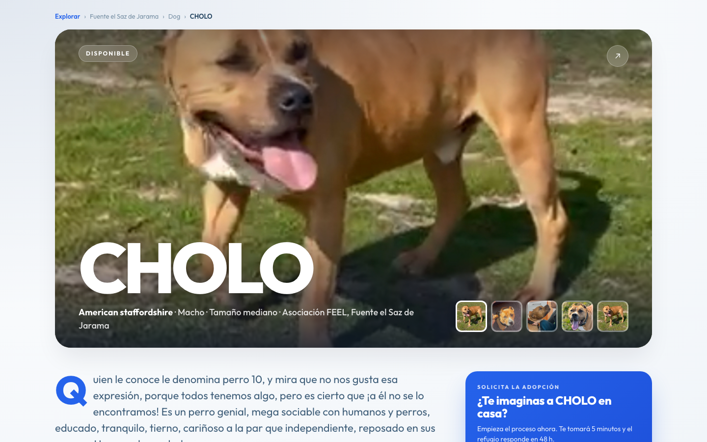 Ficha Completa del Animal